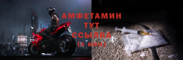мет Алексин