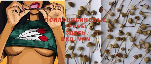 spice Алексеевка