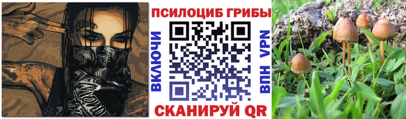 KRAKEN как войти закладки Салехард Галлюциногенные грибы Cubensis